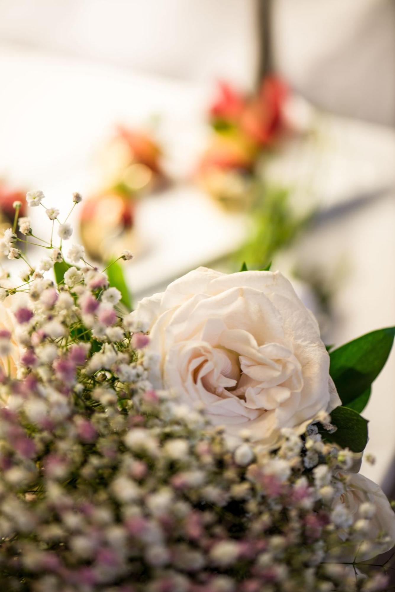 Boutique Bovedas De Santa Clara By Accor Cartagena